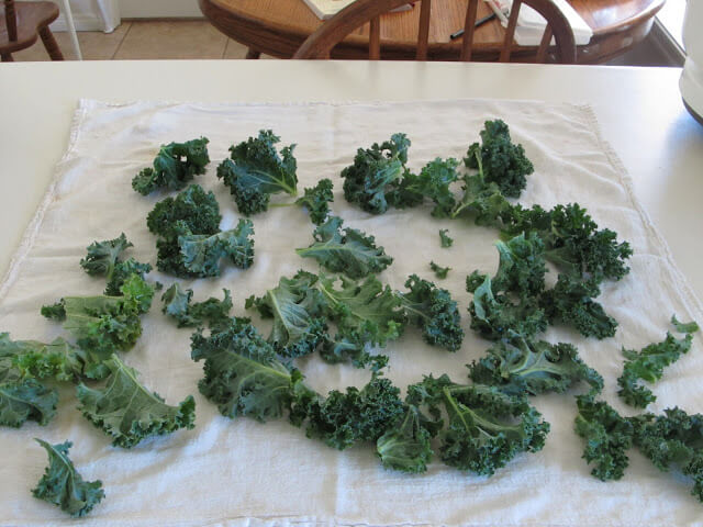 Homemade Kale Chips