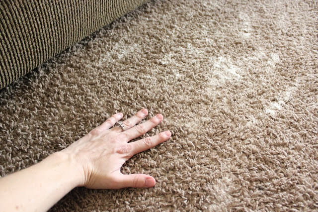 Homemade Peppermint Carpet Deodorizer