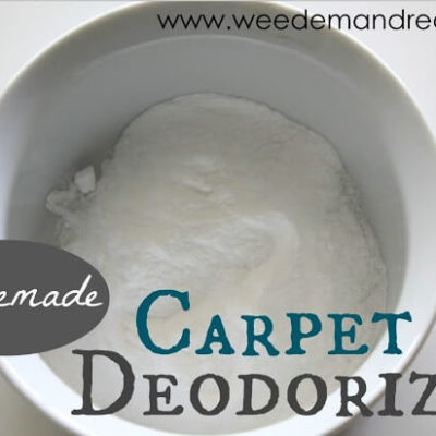 Homemade Peppermint Carpet Deodorizer