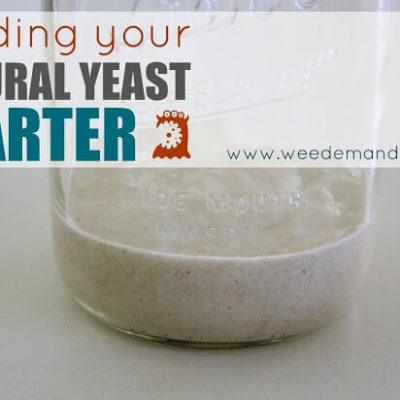 Feeding your Natural Yeast STARTER