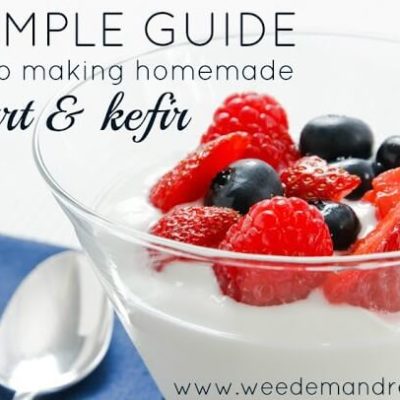 A Simple Guide to Making Homemade Yogurt & Kefir