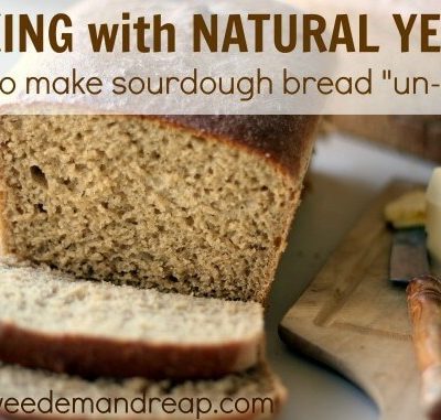 Baking with Natural Yeast: How to make sourdough bread “un-sour.”