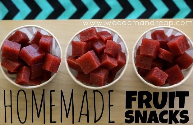 homemade-fruit-snacks