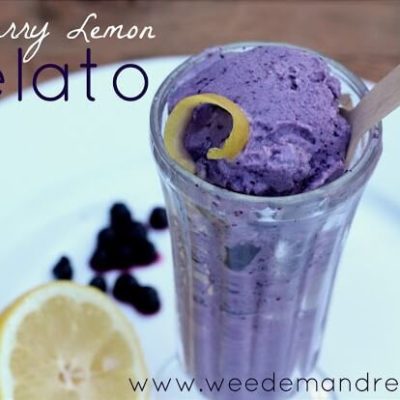 Blueberry Lemon GELATO!