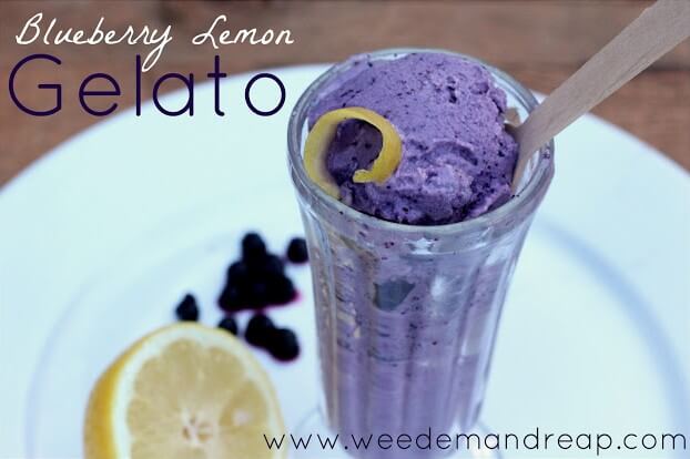 blueberry-lemon-gelato