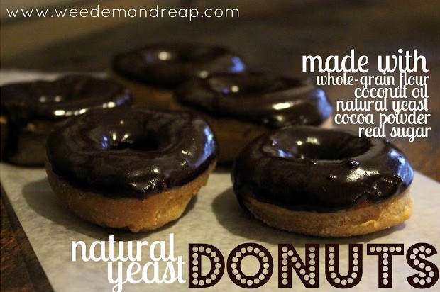 natural-yeast-donuts