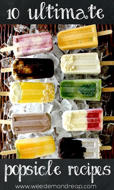 10 Summer Popsicle Recipes || Weed 'Em and Reap