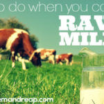 how-to-find-raw-milk