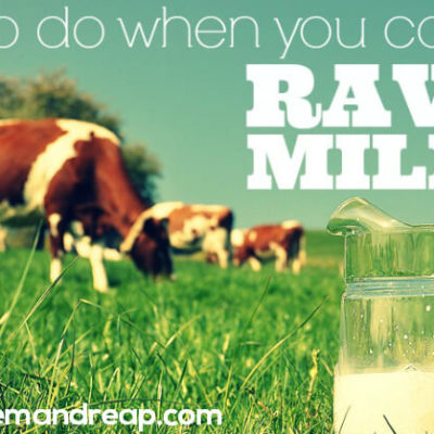 What to do when you can’t find RAW MILK