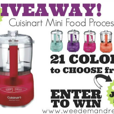 Mini Food Processor GIVEAWAY!