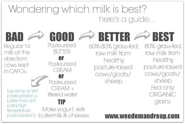 What to do when you can't find RAW MILK