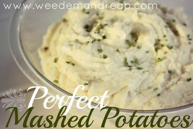 perfect-mashed-potatoes