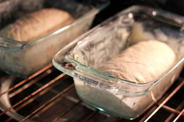 bread loaves baking in over