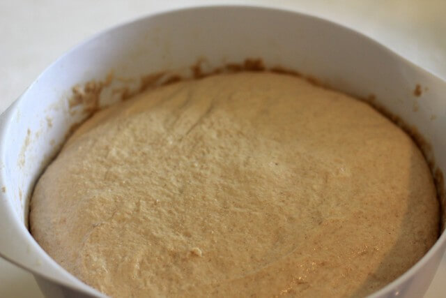 risen bread dough in a white bowl