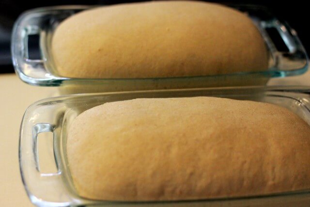 two baked bread loaves