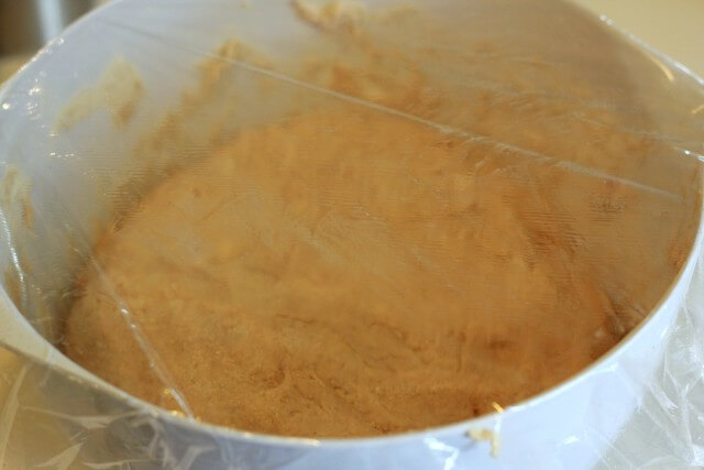 bread dough in a white bowl covered with greased plastic wrap