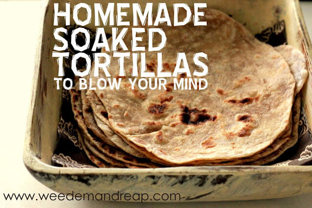 Homemade Soaked Tortillas (to blow your mind!) | Weed 'Em and Reap