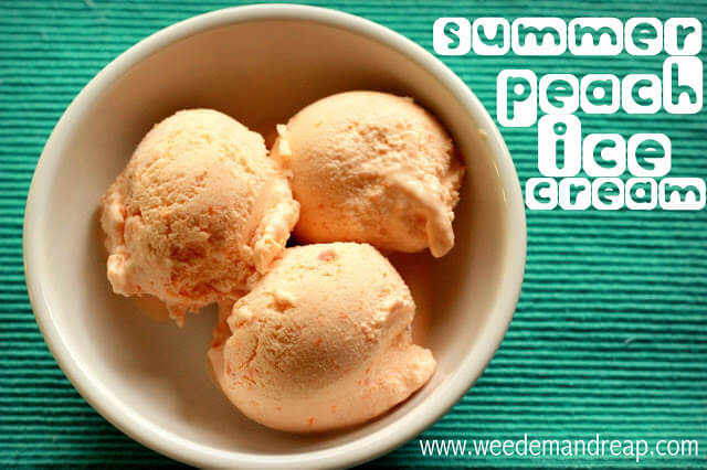 Summer Peach Ice Cream