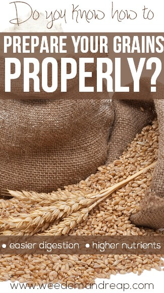 Do you know how to Prepare your Grains Properly?