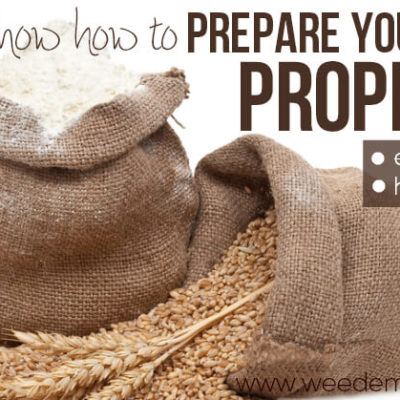 Do you know how to Prepare Your Grains Properly?