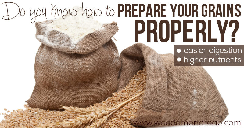 how-to-prepare-grains-properly