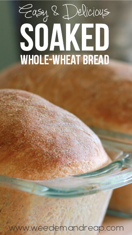 Easy & Delicious Soaked Whole Wheat Bread || Weed 'Em and Reap
