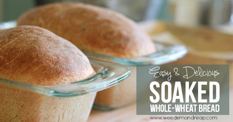 Easy & Delicious Soaked Whole Wheat Bread | Weed 'Em and Reap