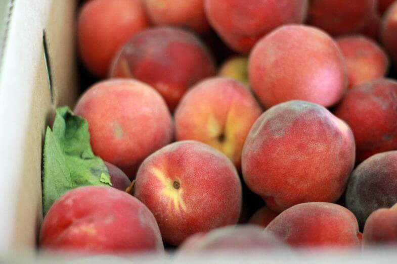 Canning {deliciously sweet} Peaches without sugar