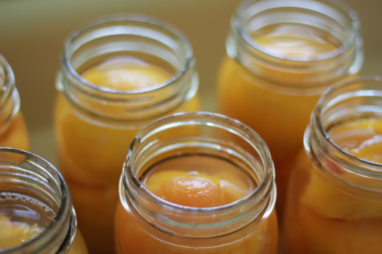 Canning {deliciously sweet} Peaches without sugar