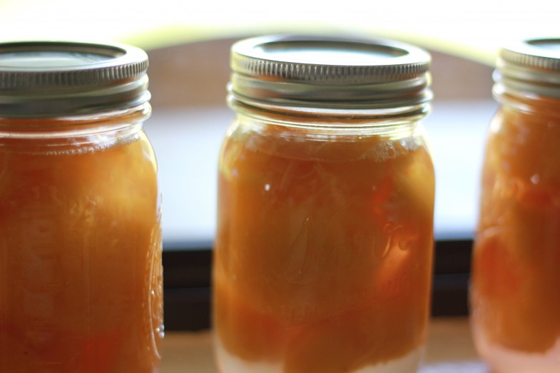 Canning {deliciously sweet} Peaches without sugar