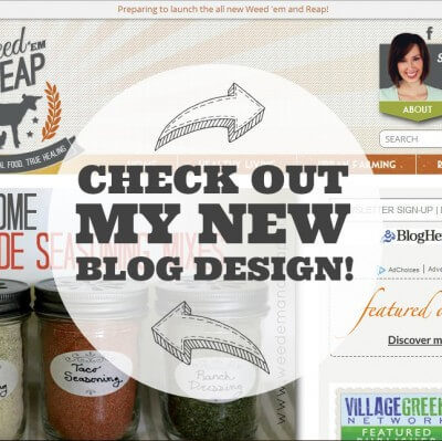 Check out my NEW BLOG DESIGN!