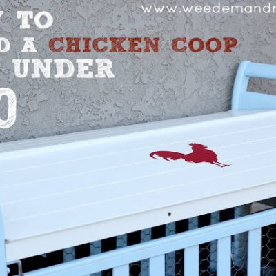 How to build a Chicken Coop for under $50