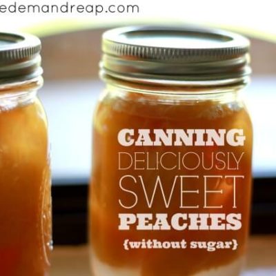 Canning {deliciously sweet} Peaches without sugar