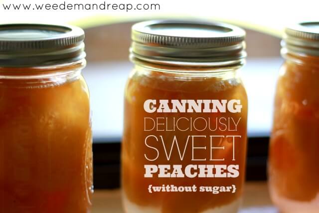 canning-peaches