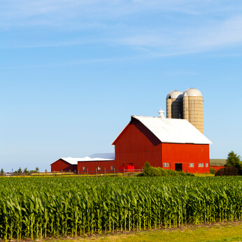 Countryside Farm in the morning