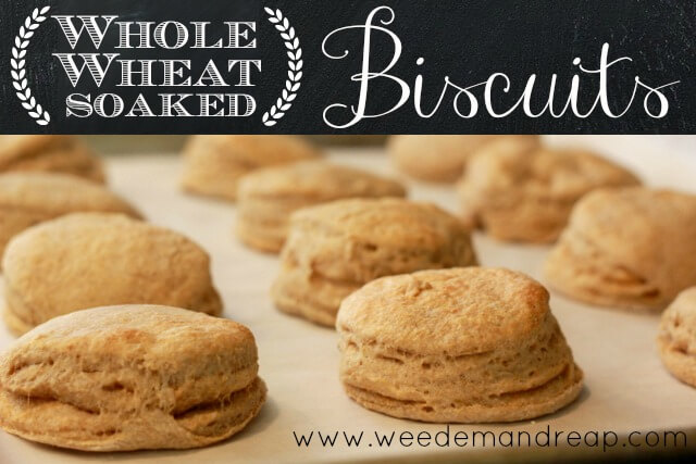 healthy biscuits