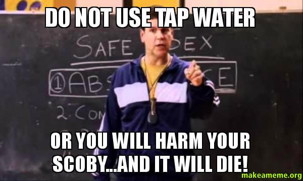  - Do not use tap water - or you will harm your SCOBY...AND IT WILL DIE!