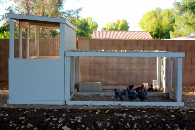 chicken coop