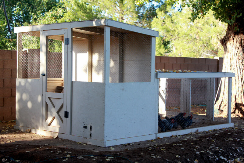 chicken coop