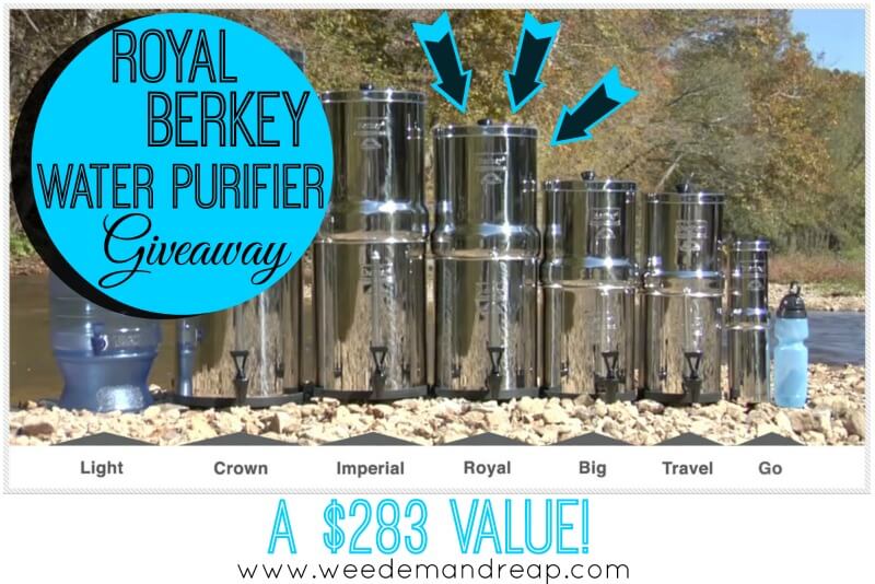 berkey-giveaway