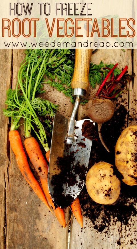 How to Freeze Root Vegetables