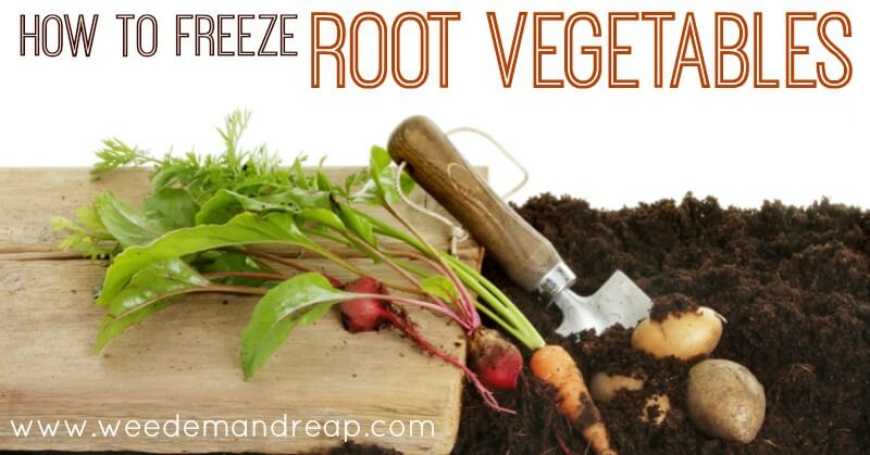 How to Freeze Root Vegetables