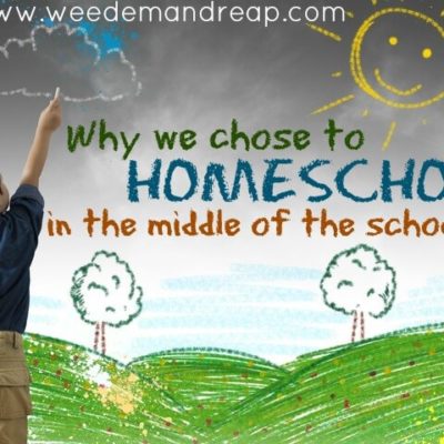 Why we chose to Homeschool in the middle of the school year.