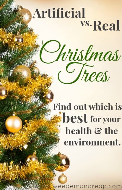 Artificial vs. Real Christmas Trees