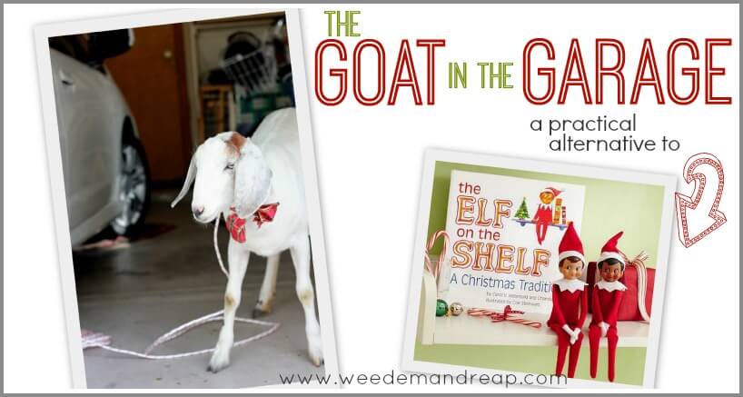 The Goat in the Garage: A practical alternative to the Elf on the Shelf