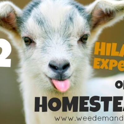 The TOP 12 Hilarious Experiences of a Homesteader