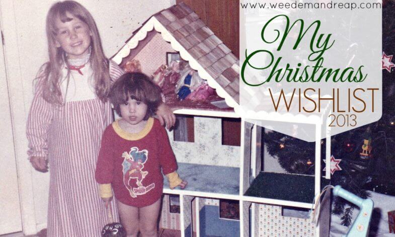 my-christmas-wishlist-2013