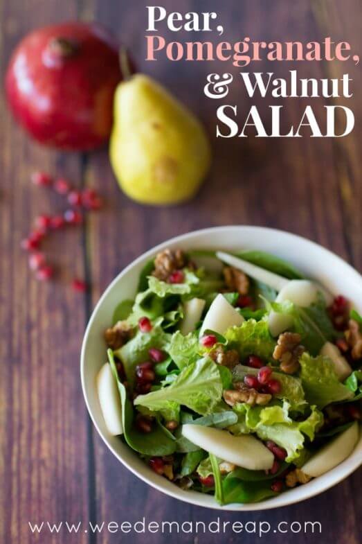 Pear, Pomegranate, & Walnut Salad