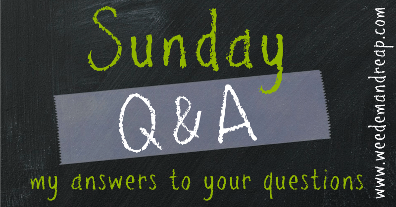 Sunday Q & A