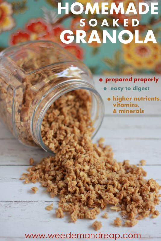 homemade soaked granola